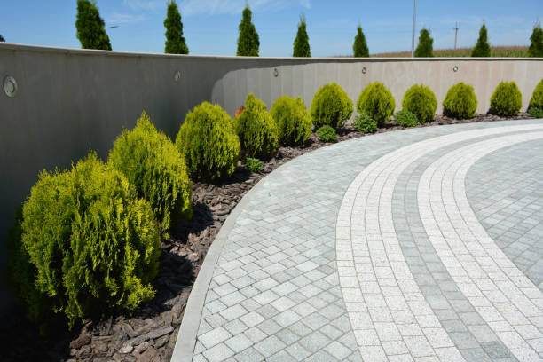 Best Commercial Driveway Pavers  in Clayton, IN